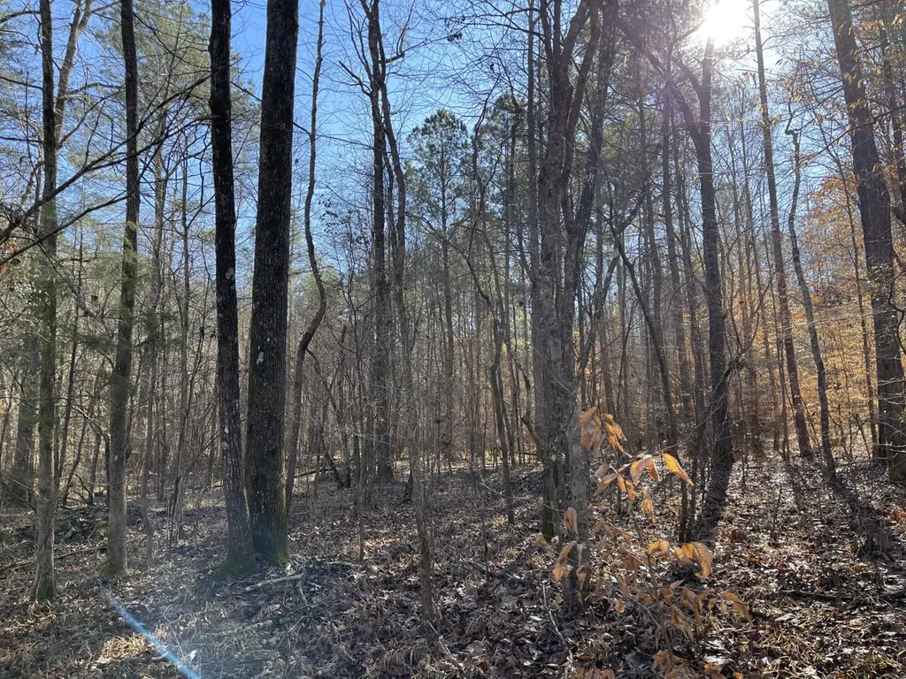 0 Tutweiler Road Oakman AL 35579