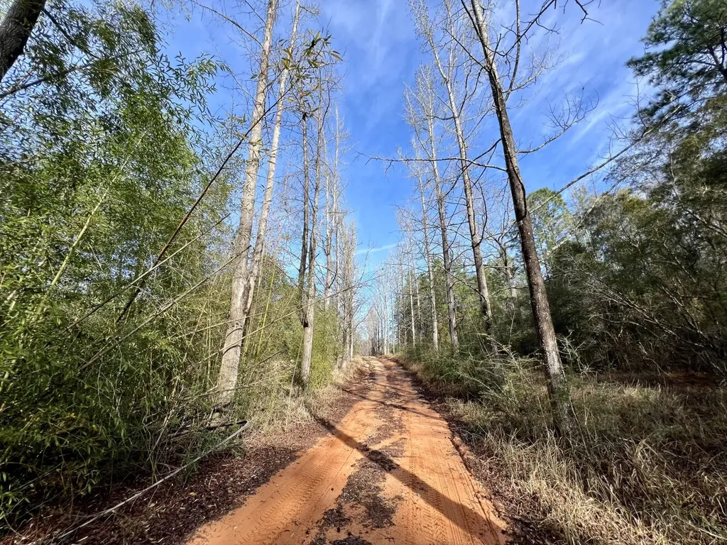 0 Roberts Road Chunchula AL 36521