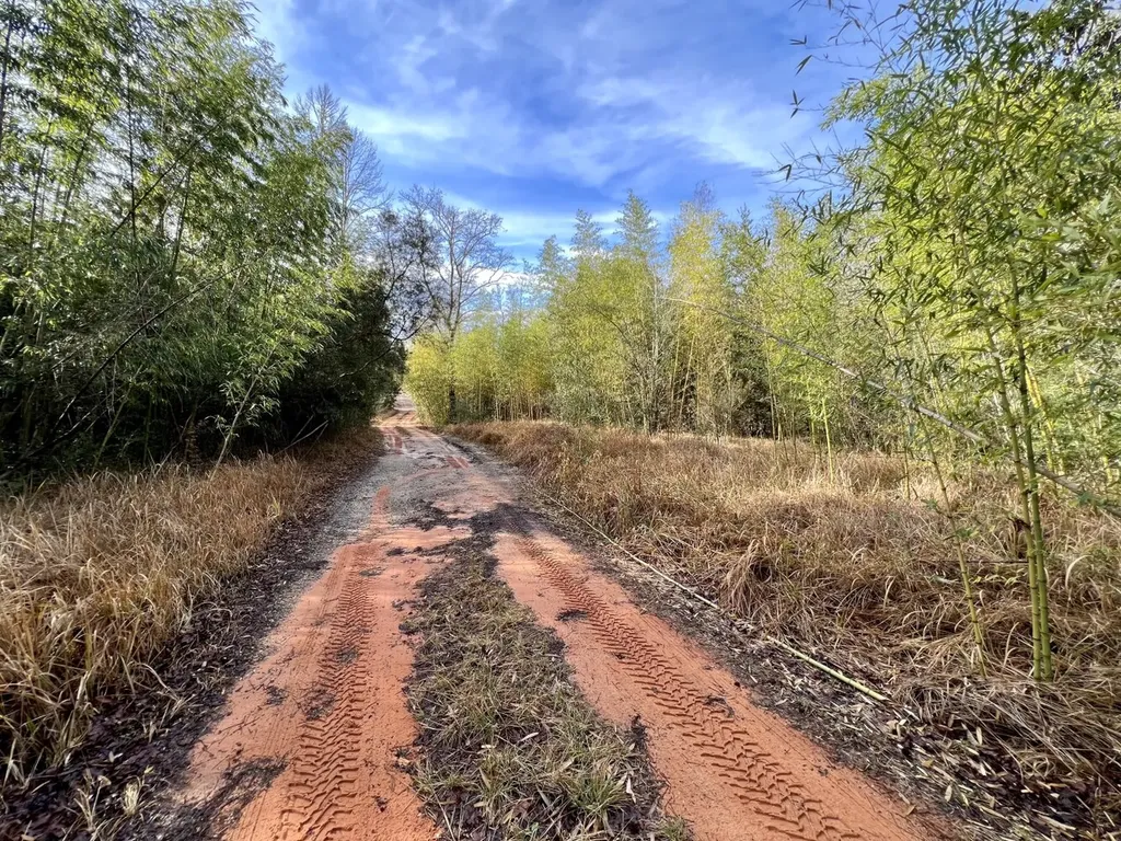 0 Roberts Road Chunchula AL 36521