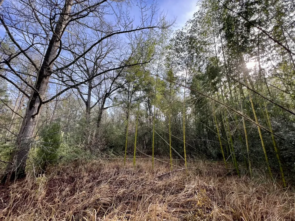 0 Roberts Road Chunchula AL 36521