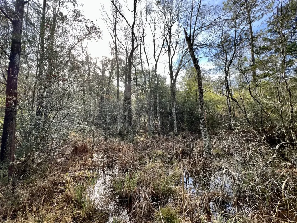 0 Roberts Road Chunchula AL 36521