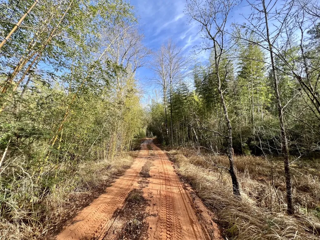 0 Roberts Road Chunchula AL 36521