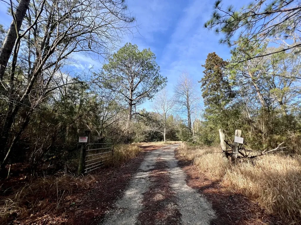 0 Roberts Road Chunchula AL 36521