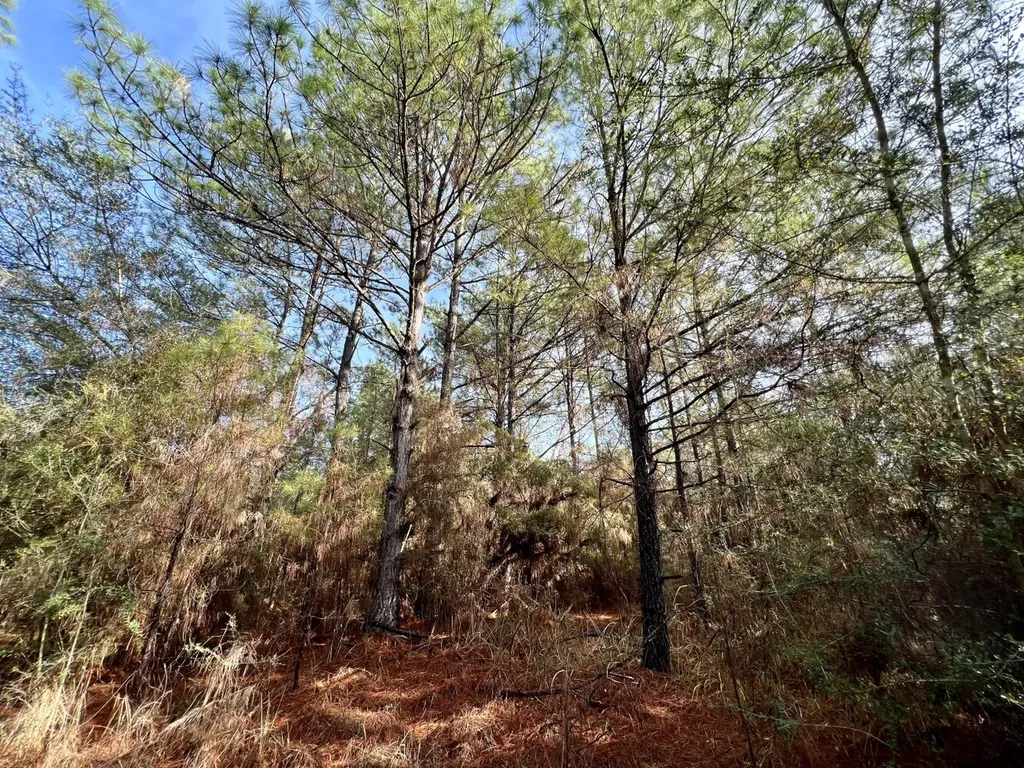 0 Roberts Road Chunchula AL 36521