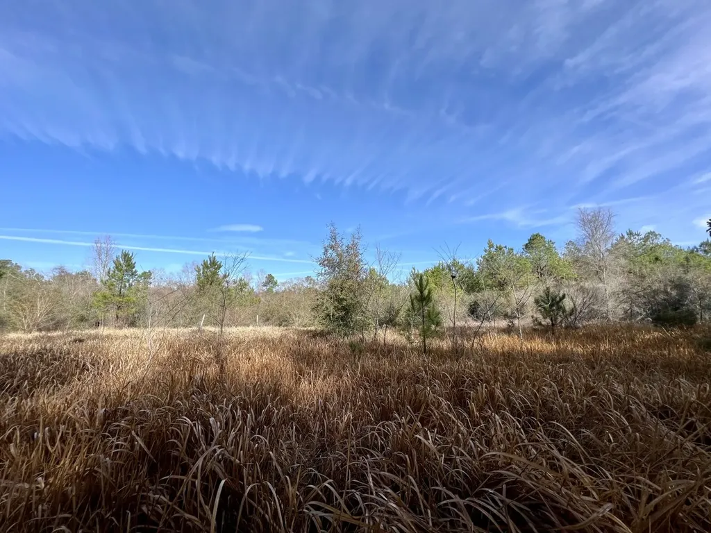 0 Roberts Road Chunchula AL 36521