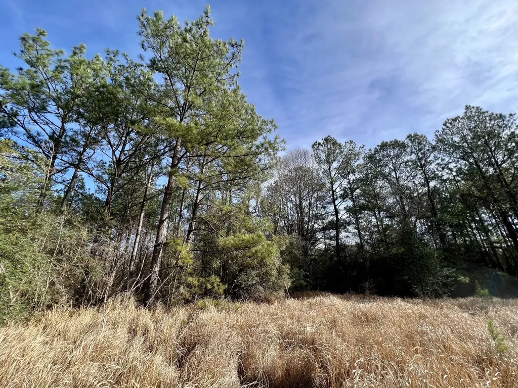 0 Roberts Road Chunchula AL 36521