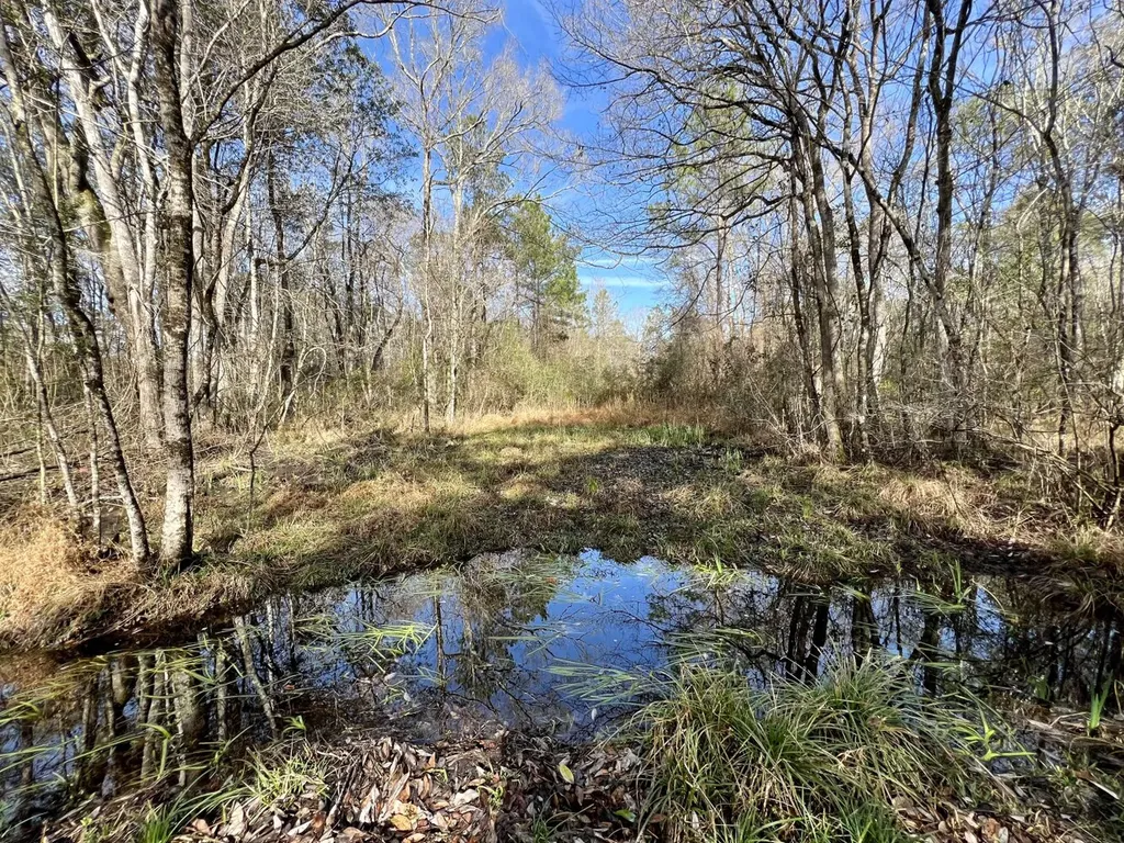 0 Roberts Road Chunchula AL 36521