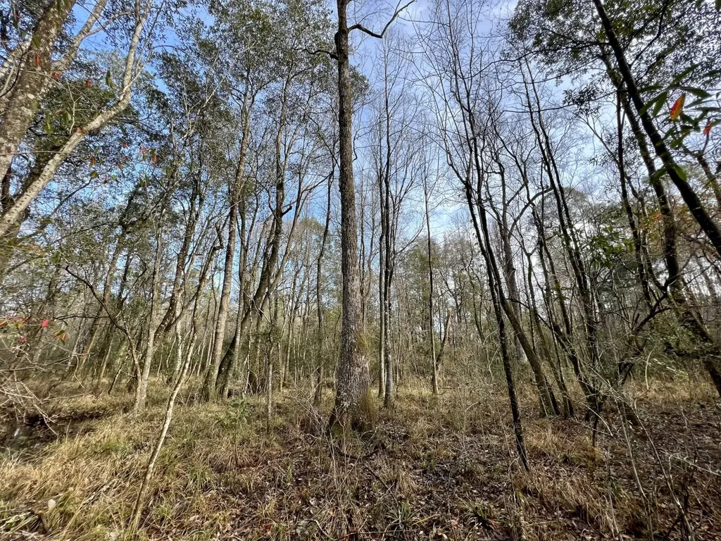 0 Roberts Road Chunchula AL 36521