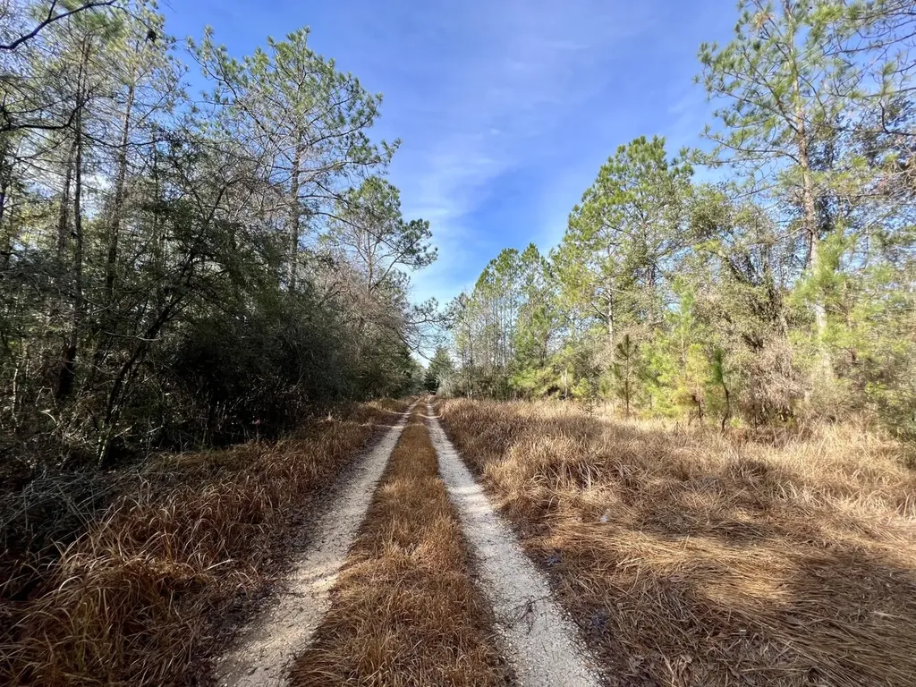 0 Roberts Road Chunchula AL 36521