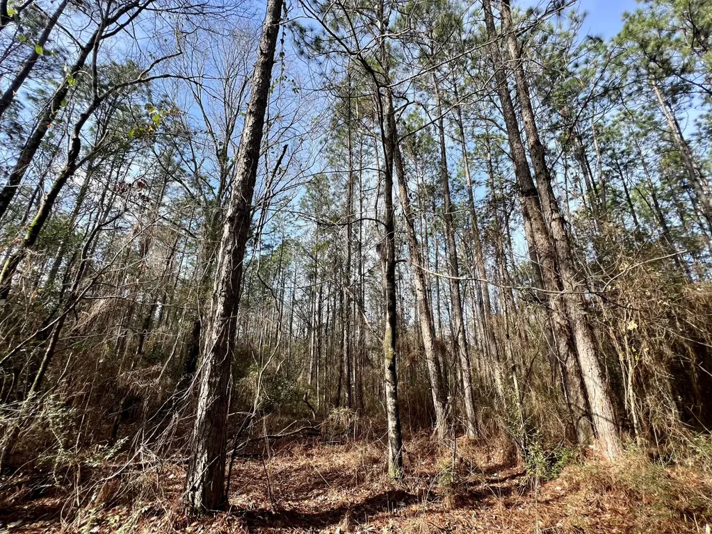 0 Roberts Road Chunchula AL 36521