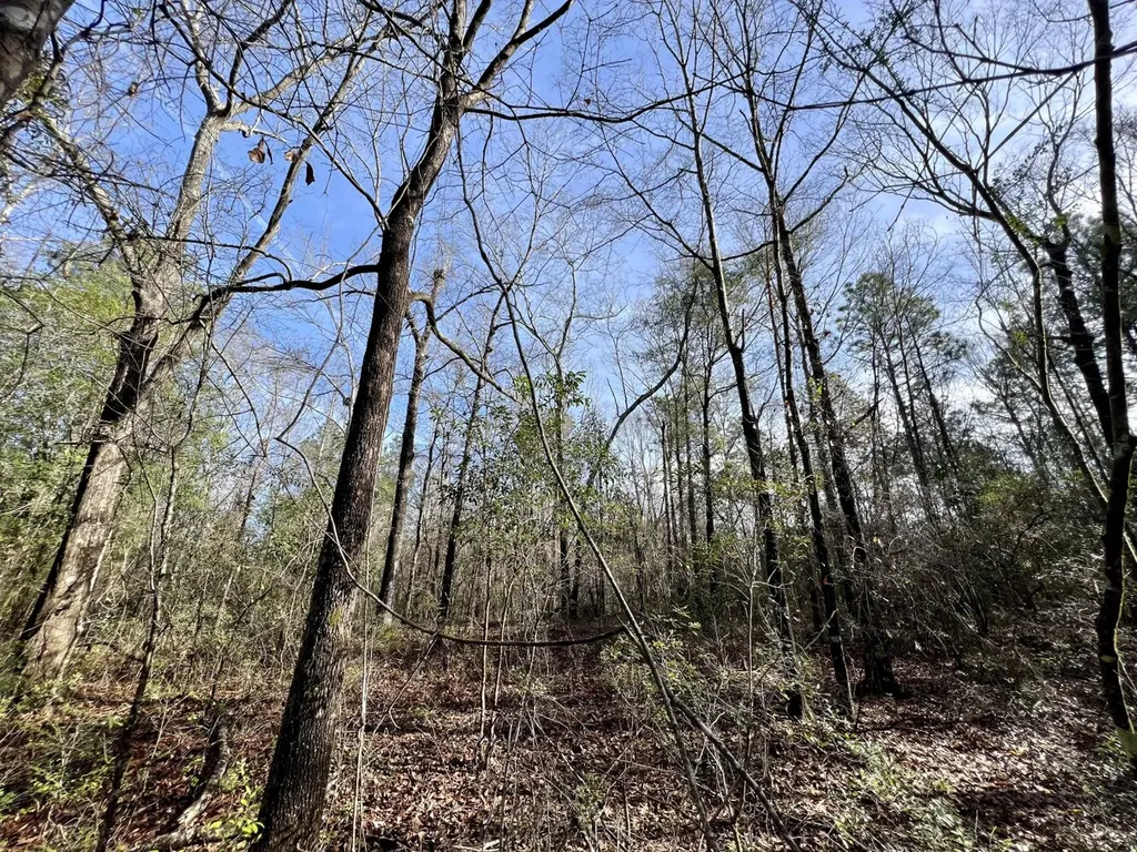 0 Roberts Road Chunchula AL 36521