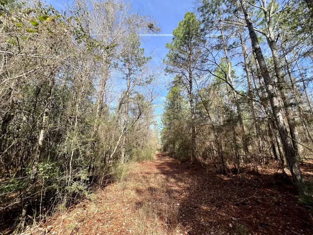 0 Roberts Road Chunchula AL 36521