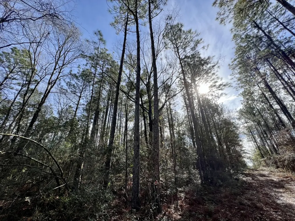 0 Roberts Road Chunchula AL 36521