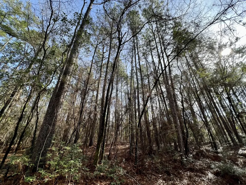 0 Roberts Road Chunchula AL 36521