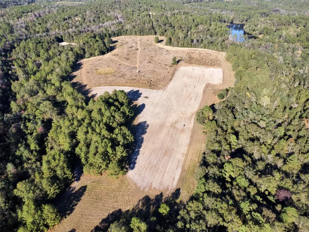 0 Roberts Road Chunchula AL 36521