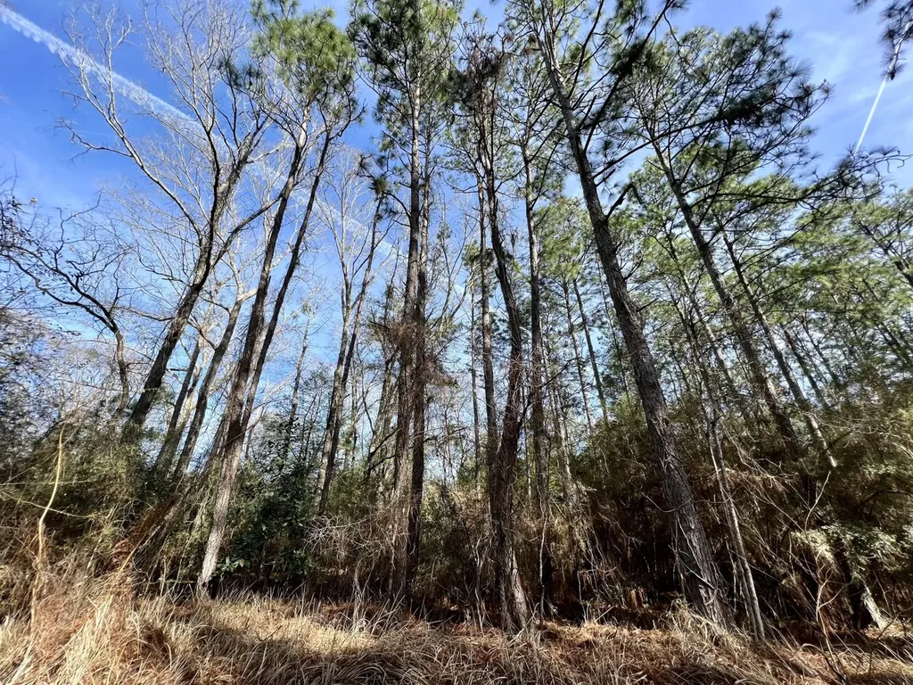 0 Roberts Road Chunchula AL 36521