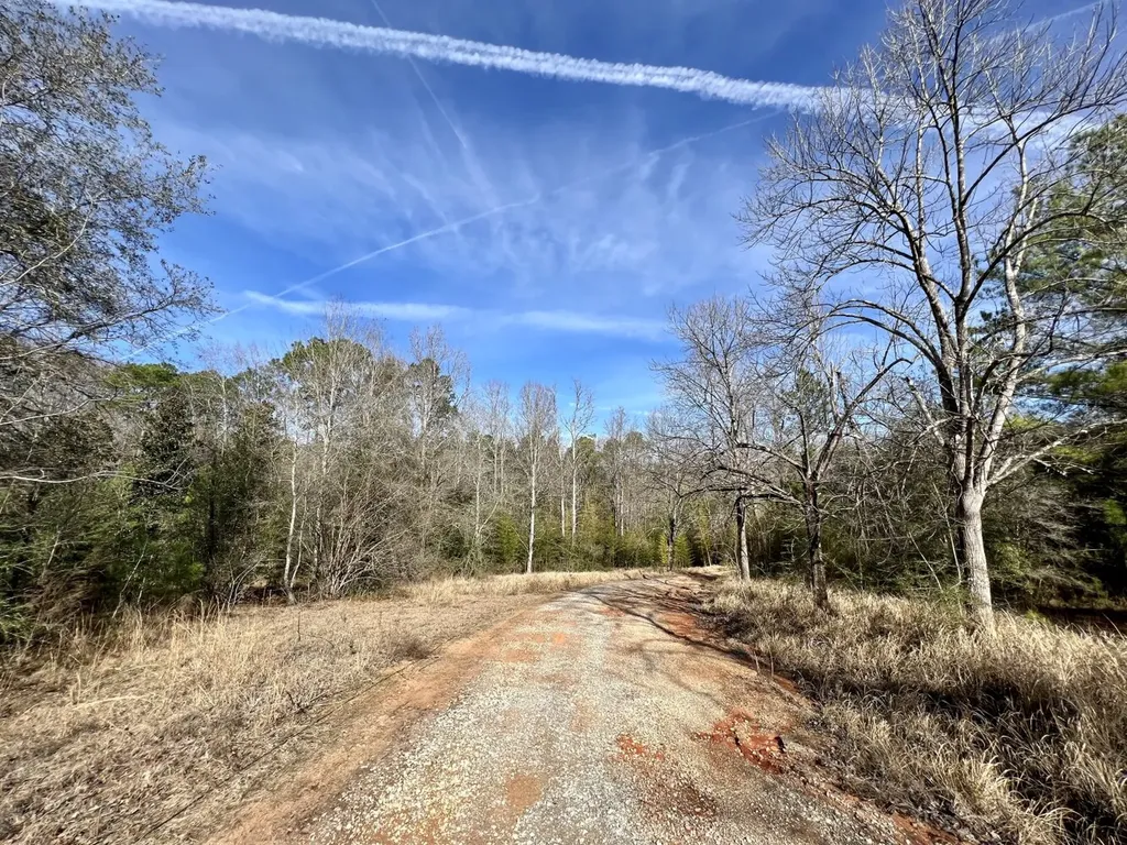 0 Roberts Road Chunchula AL 36521