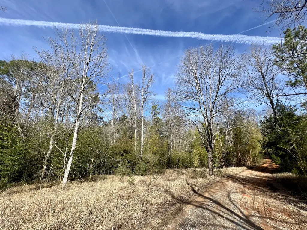 0 Roberts Road Chunchula AL 36521