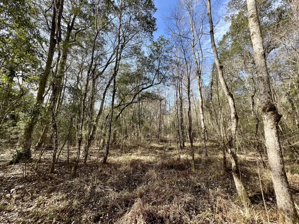 0 Roberts Road Chunchula AL 36521