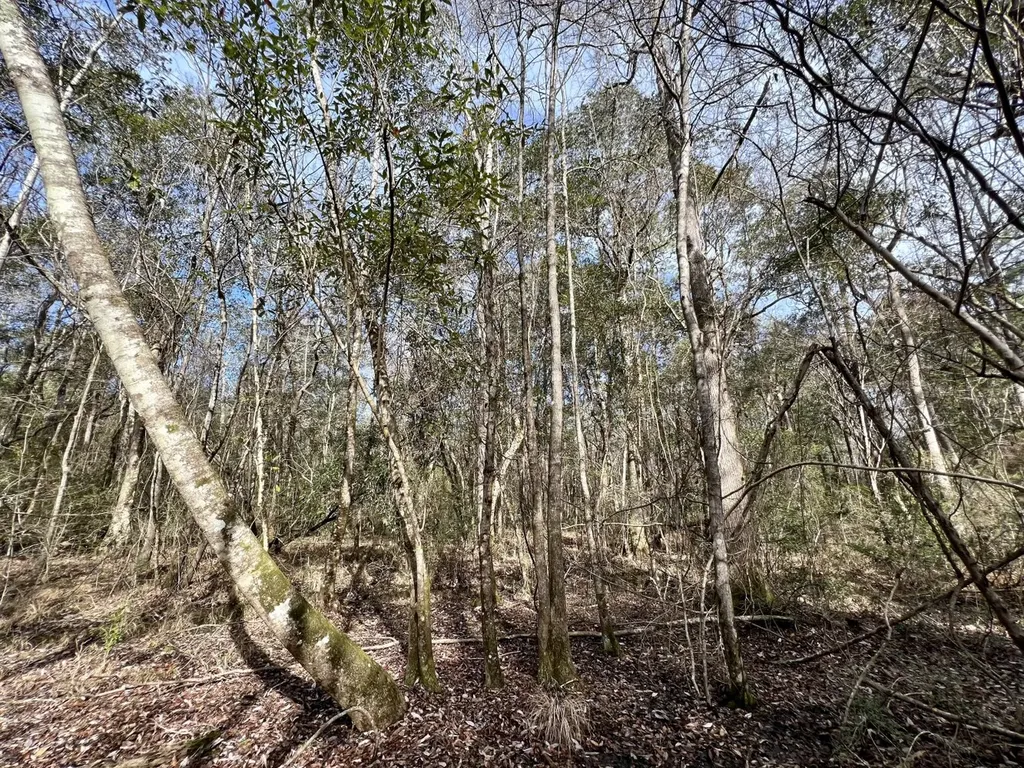 0 Roberts Road Chunchula AL 36521