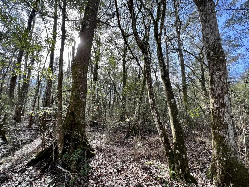 0 Roberts Road Chunchula AL 36521