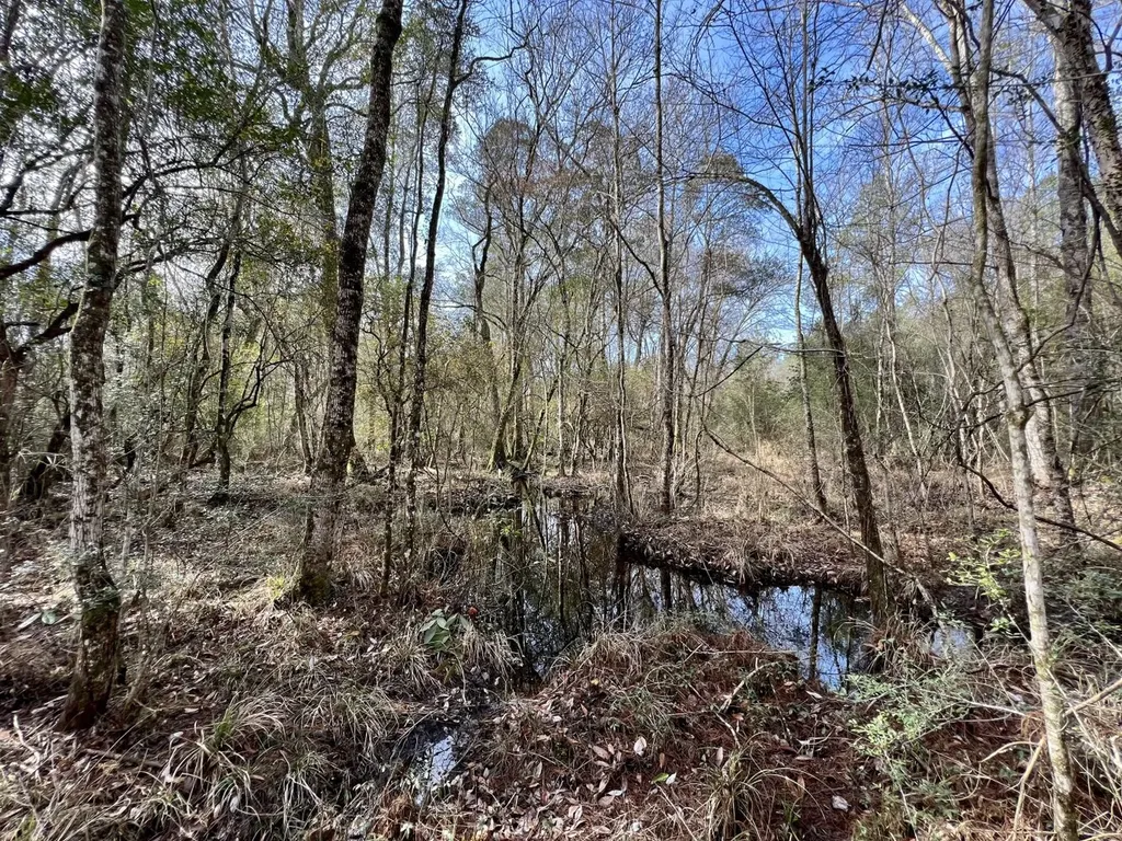 0 Roberts Road Chunchula AL 36521