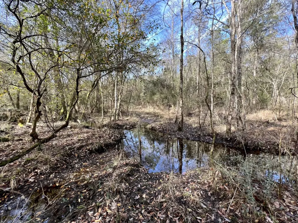 0 Roberts Road Chunchula AL 36521