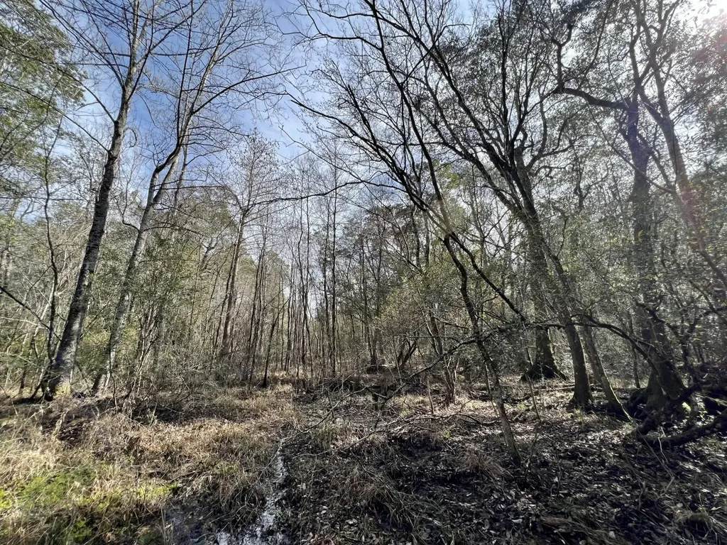 0 Roberts Road Chunchula AL 36521