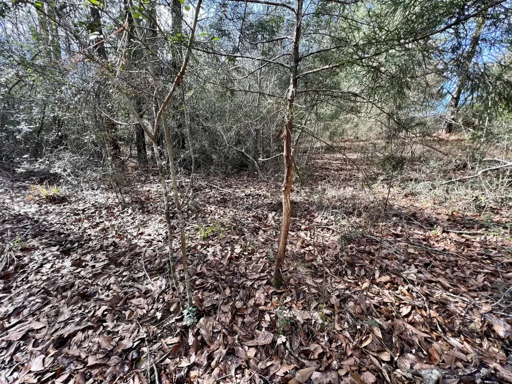 0 Roberts Road Chunchula AL 36521