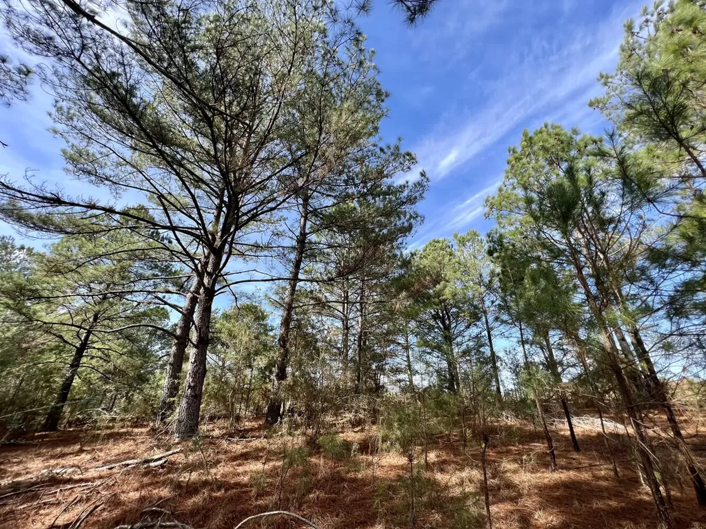 0 Roberts Road Chunchula AL 36521