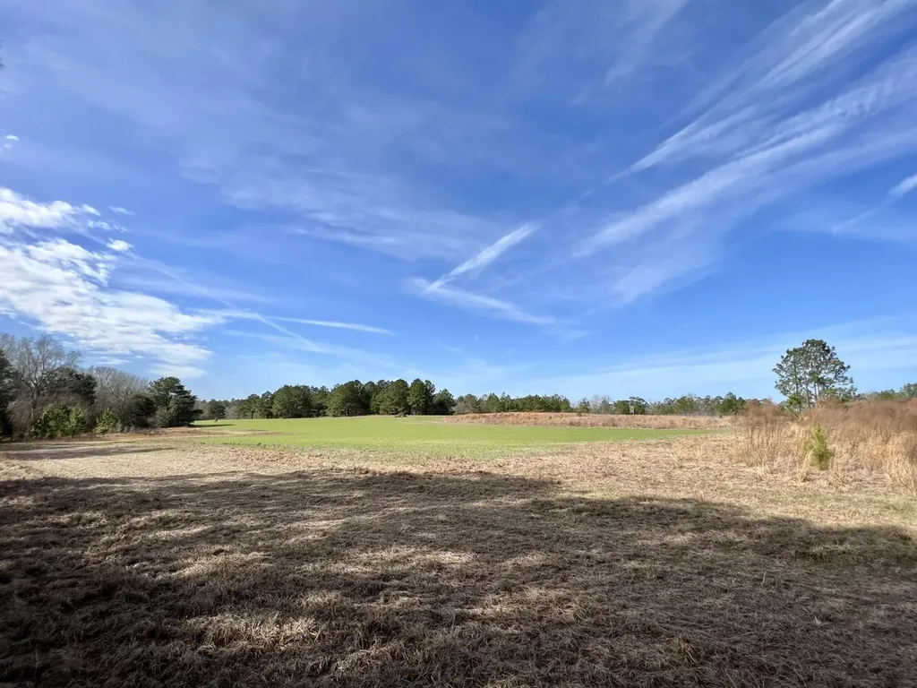 0 Roberts Road Chunchula AL 36521