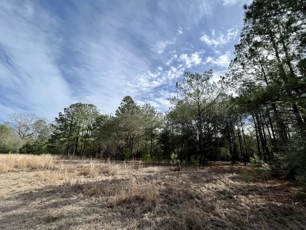 0 Roberts Road Chunchula AL 36521