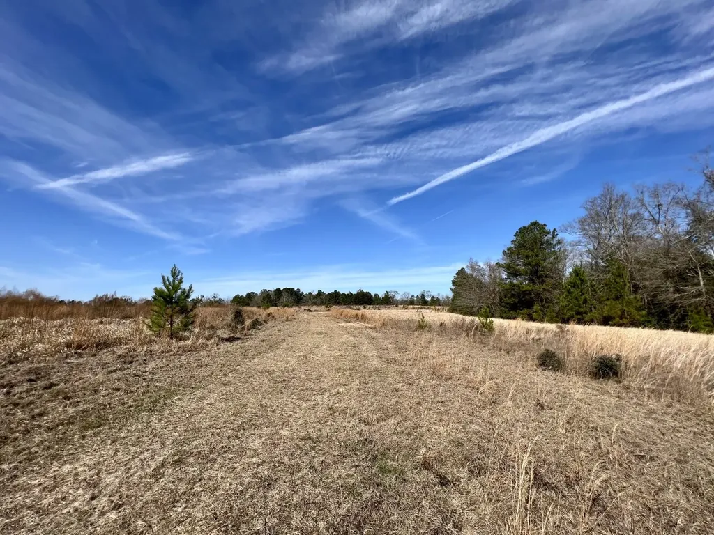 0 Roberts Road Chunchula AL 36521