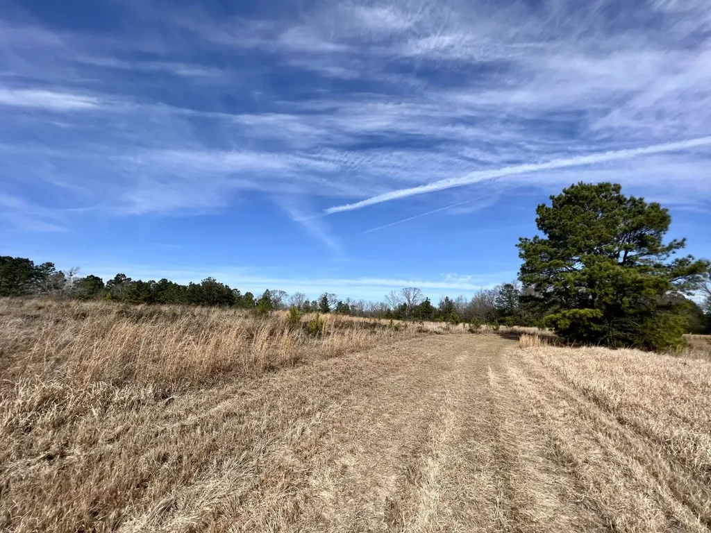 0 Roberts Road Chunchula AL 36521