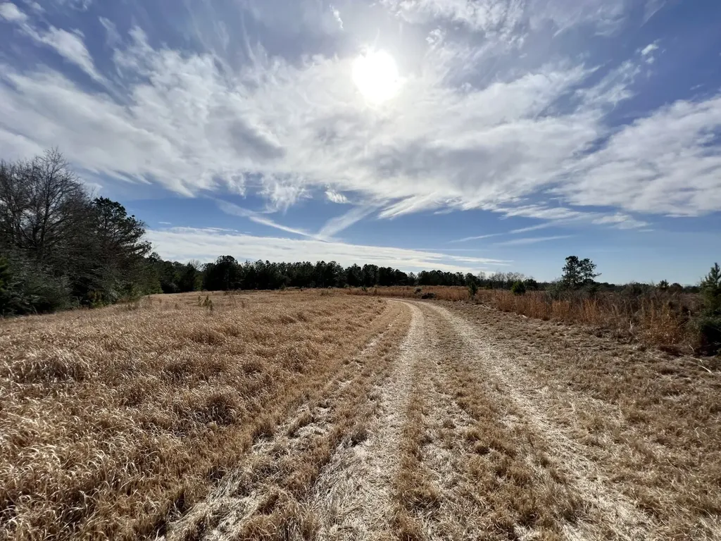 0 Roberts Road Chunchula AL 36521