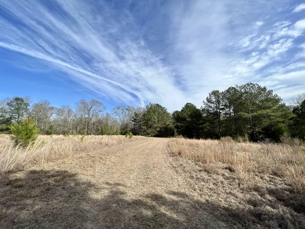 0 Roberts Road Chunchula AL 36521