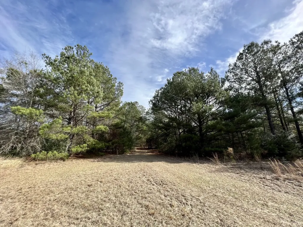 0 Roberts Road Chunchula AL 36521