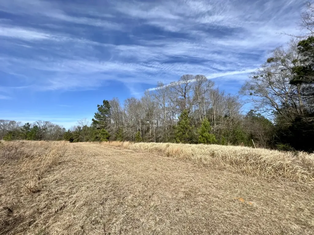 0 Roberts Road Chunchula AL 36521