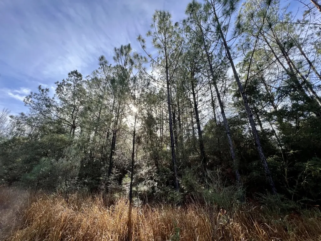 0 Roberts Road Chunchula AL 36521