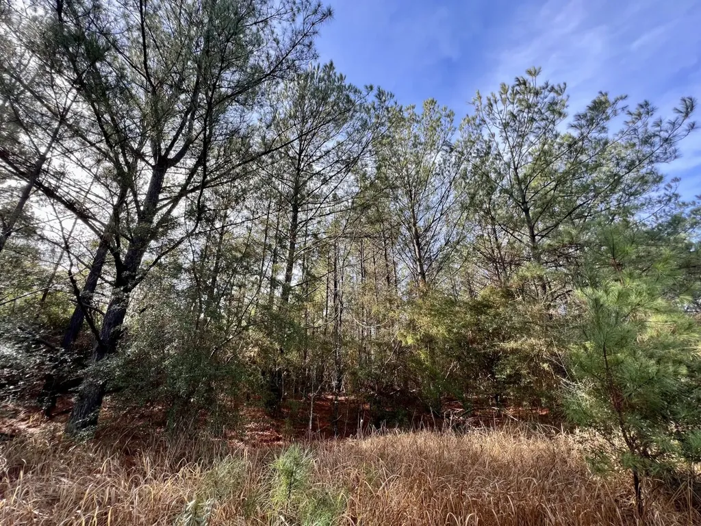 0 Roberts Road Chunchula AL 36521