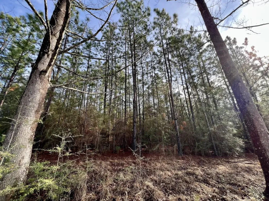 0 Roberts Road Chunchula AL 36521