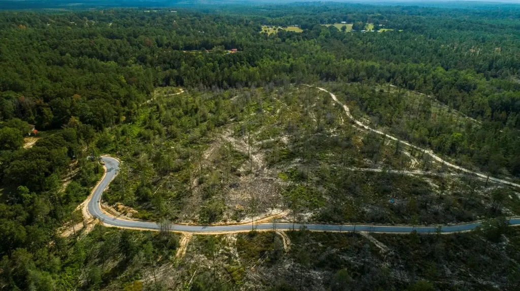 0 Whitehouse Fork Road Bay Minette AL 36507