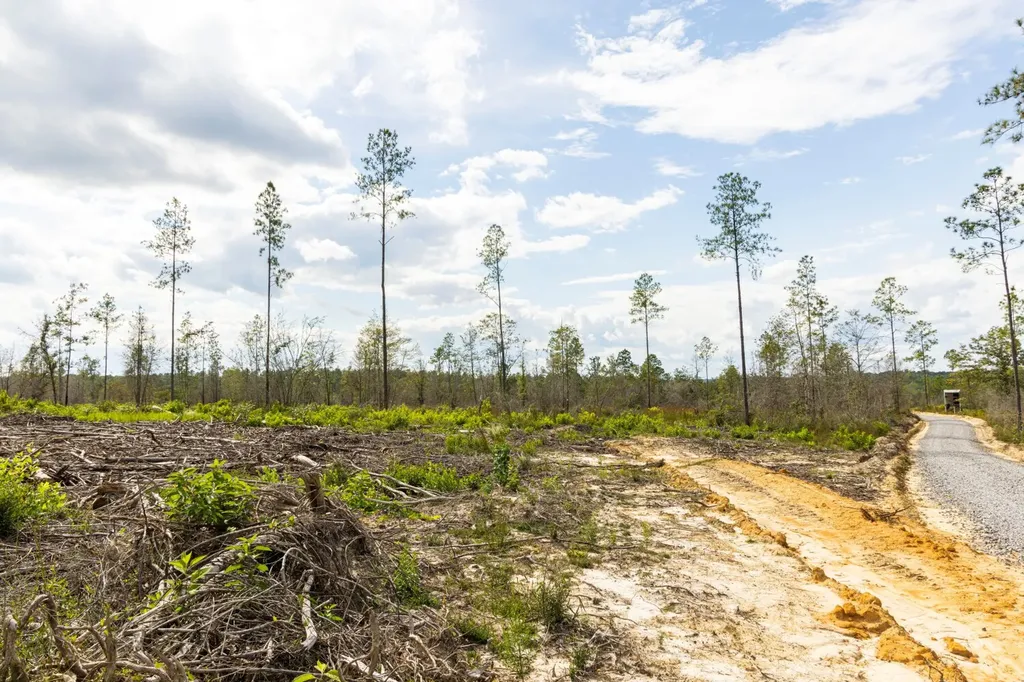 0 Whitehouse Fork Road Bay Minette AL 36507