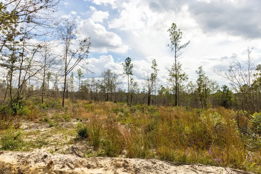 0 Whitehouse Fork Road Bay Minette AL 36507