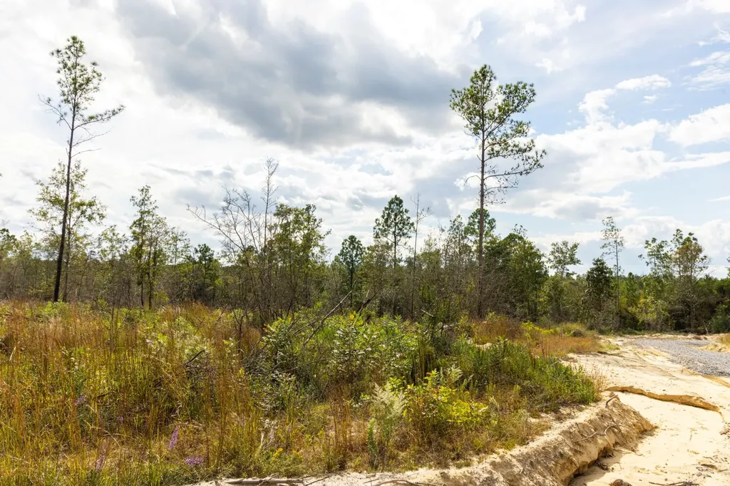 0 Whitehouse Fork Road Bay Minette AL 36507