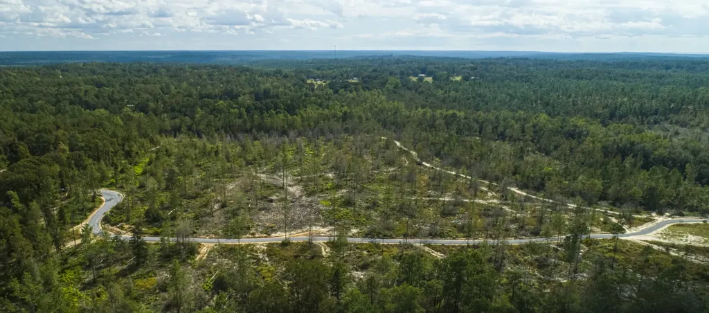 0 Whitehouse Fork Road Bay Minette AL 36507