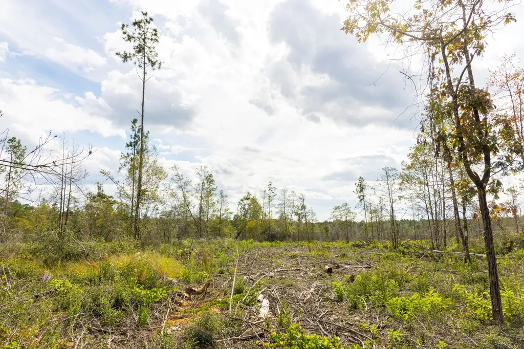 0 Whitehouse Fork Road Bay Minette AL 36507