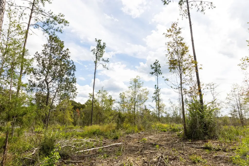 0 Whitehouse Fork Road Bay Minette AL 36507