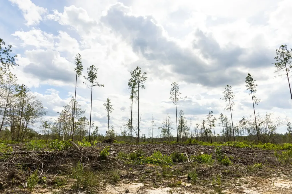 0 Whitehouse Fork Road Bay Minette AL 36507