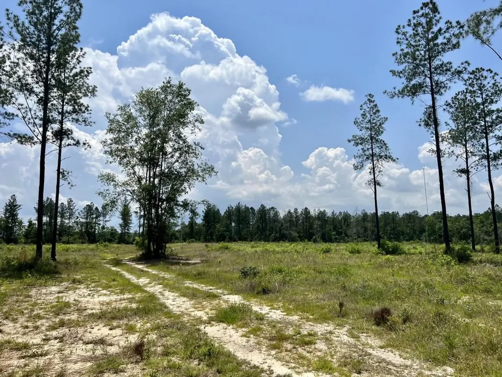 0 County Road 64 Robertsdale AL 36567